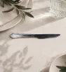 Cuchillo de Mesa de Acero Inoxidable Plum – Ranieri 46265