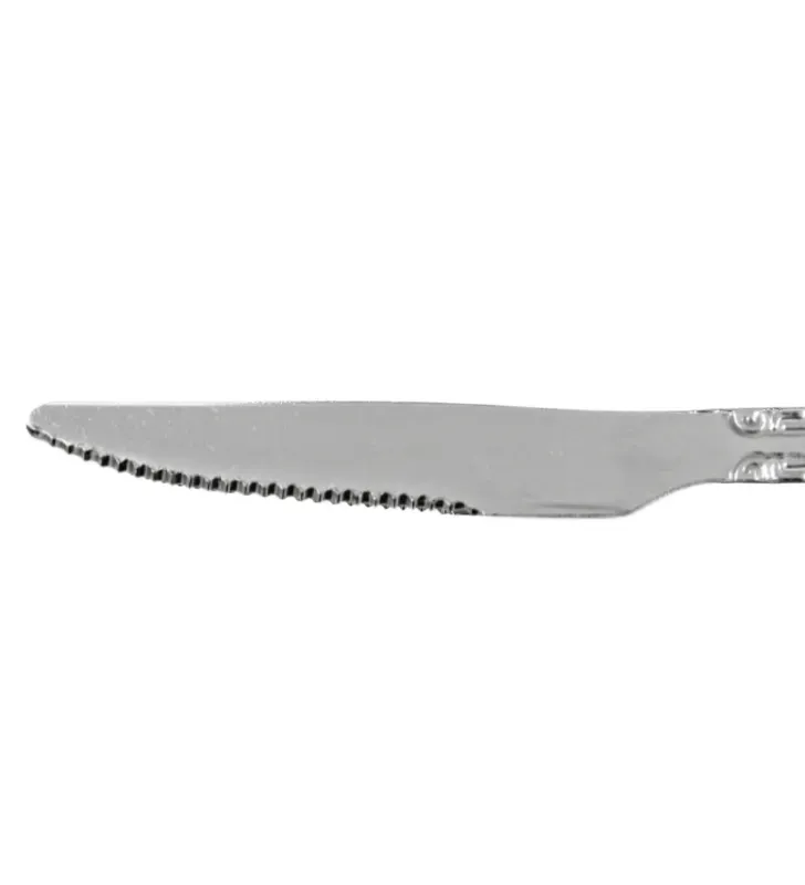 Cuchillo de Mesa de Acero Inoxidable Plum – Ranieri 46265