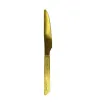 Cuchillo de Mesa Dorado Alcatraz Aura – Ranieri 97171