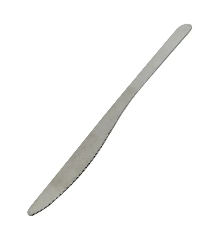 Cuchillo de Mesa de Acero Inoxidable Casia – Möven