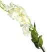 Ramo de Orquídea Artificial Colgante Blanco 3 Guías – Dekora FW-3010A