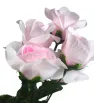 Ramo de Rosas Artificiales Rosado 5 Varas – Dekora G2030-P