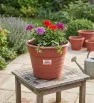 Macetón Mini Plástico Color Terracota – Arplasa Jardinería