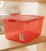Caja Organizadora de 42 Litros con Broches Italhome