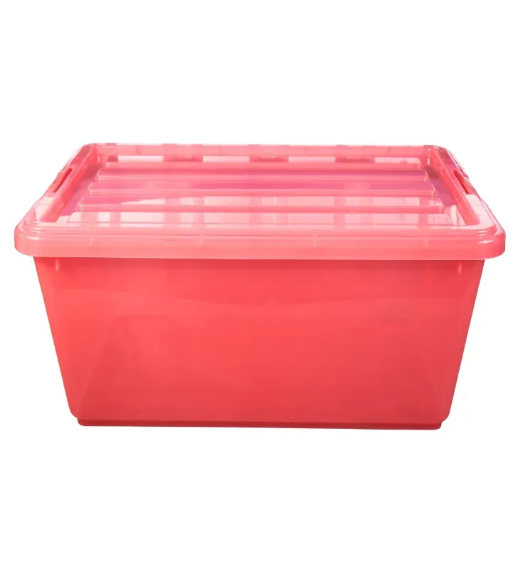 Caja Organizadora de 42 Litros con Broches Italhome