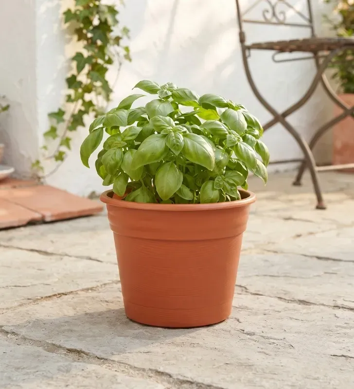 Maceta de Plástico Plastipop No. 1 Jr – Contenedor Terracota