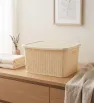Canasta Organizadora Europlast Jacky Grande – Cesto con Tapa Colores