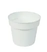 Maceta Mini Colores Josant Plast – Maceta de Plástico Pequeña