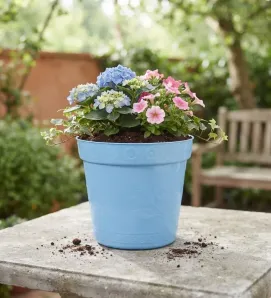 Maceta Tulipán Colores Josant Plast – Maceta de Plástico Decorativa