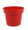 Maceta Económica No. 2 Plástico Varios Colores Almoplastic