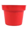 Maceta Económica No. 3 Plástico Varios Colores Almoplastic