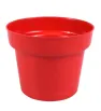Maceta Económica No. 3 Plástico Varios Colores Almoplastic