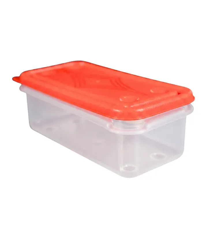 Mini Recipiente Estrella de Plástico 250ml W127 | Plasvic