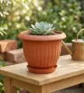 Maceta Clásica Mediana de Plástico Terracota W059* | Plasvic