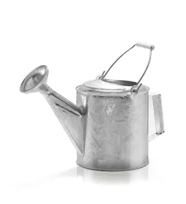 Regadera Galvanizada con Rociador No. 06 Cubasa | Modelo 2406