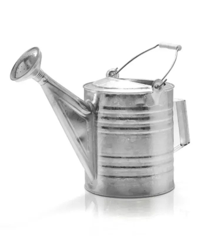 Regadera Galvanizada con Rociador 8 Litros No. 08 | Cubasa 2408