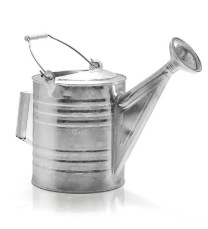 Regadera Galvanizada con Rociador No. 10 | Cubasa 2410