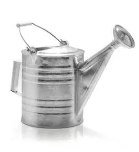 Regadera Galvanizada con Rociador No. 10 | Cubasa 2410