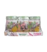 Set Botanic Decorado 3 Tarros Vidrio 660ml con Tapa Y-90032 | Yuliana