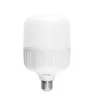 Foco LED de Alta Potencia 30W (Equivalente 125W) 2550 lm 1397 | Sanelec