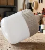 Foco LED de Alta Potencia 50W 4600 lm 6500K 1399 | Sanelec