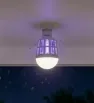 Foco Mata Insectos LED con Lámpara 15W Luz Fría 6500K 1653 | Sanelec