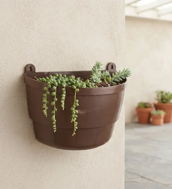 Maceta de Pared Bugambilia Mediana 03CSMA069 | Jarciería Libertad