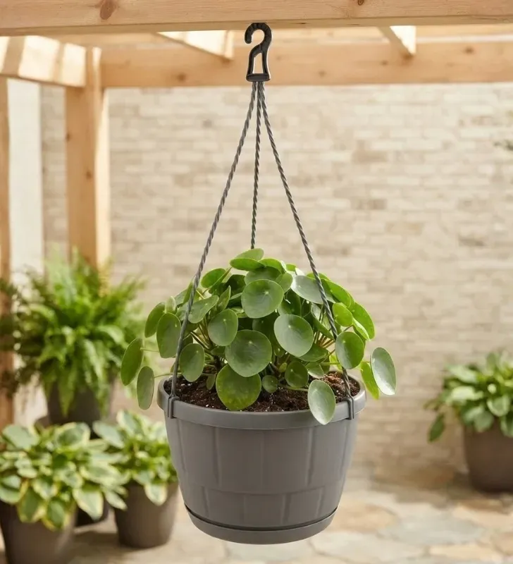 Maceta Colgante Gardenia Mediana 03CSMA065 | Jarciería Libertad