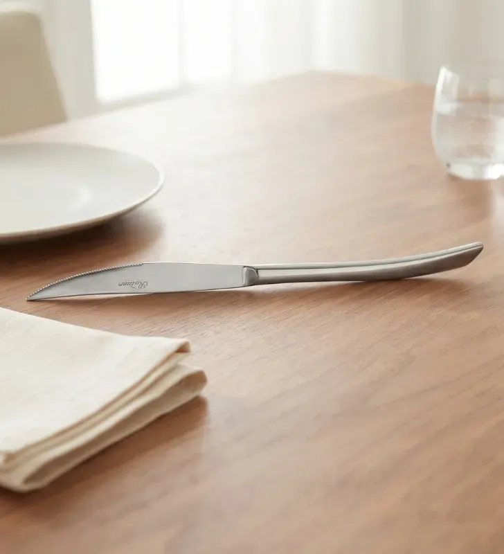 Cuchillo de Mesa Venecia 2 Acero Inoxidable 49547 | Ranieri