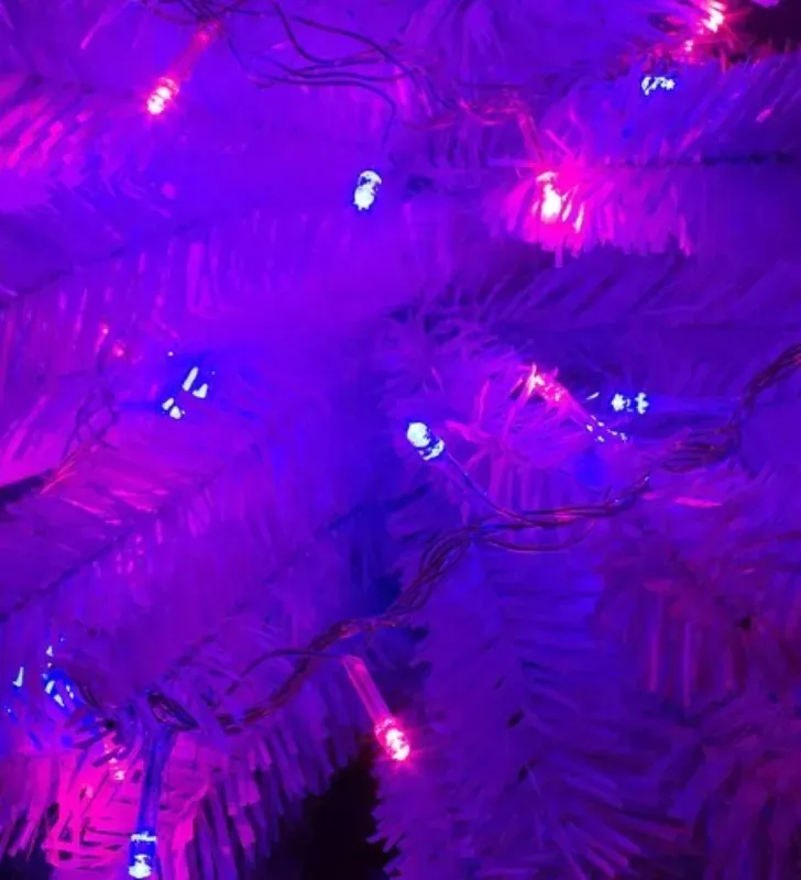 Serie 140 LED Musical Azul-Rosa Cable Transparente L562231 | Navicolors