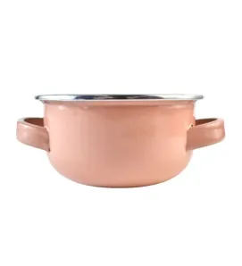 Budinera Rosa Cinsa Euro 14 1 L Primer Comercial