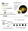 Serie 20 LED Colgantes Navideños Luz Cálida 4m L582478 | Navicolors