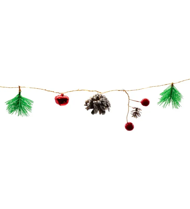 Guía 20 LED Luz Cálida Fruta Roja y Piñas 2.5m L582483 | Navicolors