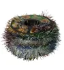 Rollo Escarcha Doble No. 100 Multicolor 20 m Naviplastic 511811