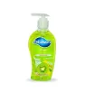 Jabón líquido Blumen Kiwi Starfruit 221 ml – Antibacterial