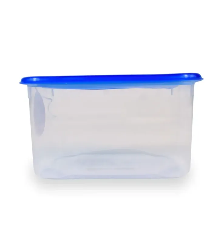 Contenedor Microfresh Rectangular M 900 ml D’Novo Medio Hermético