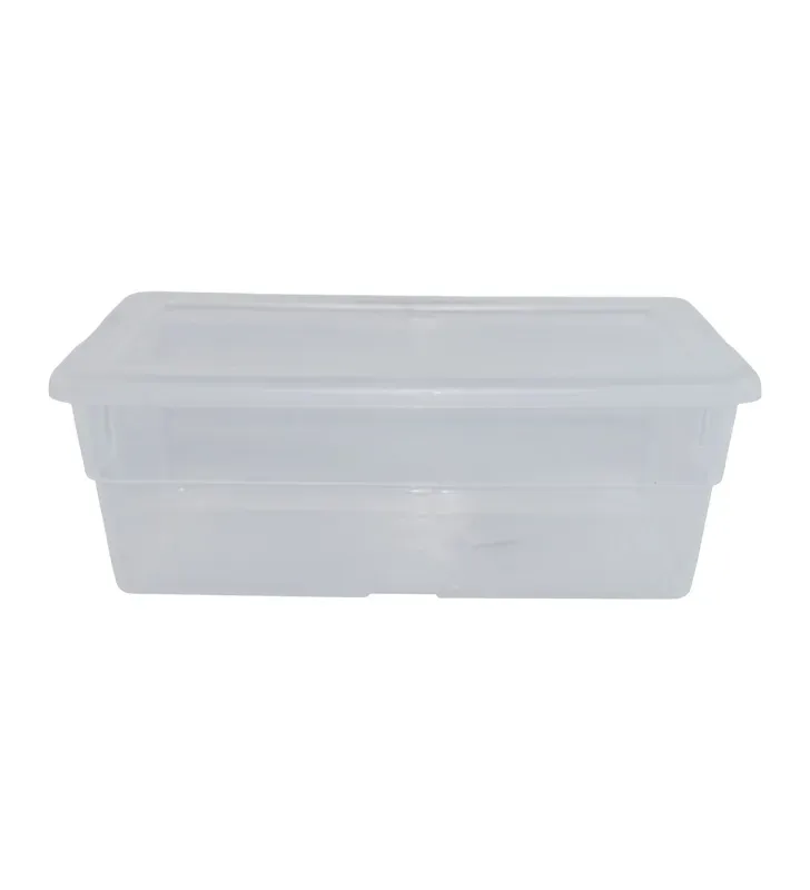 Caja Zapatera Chica Arplasa 1.3 L – Plástico Transparente