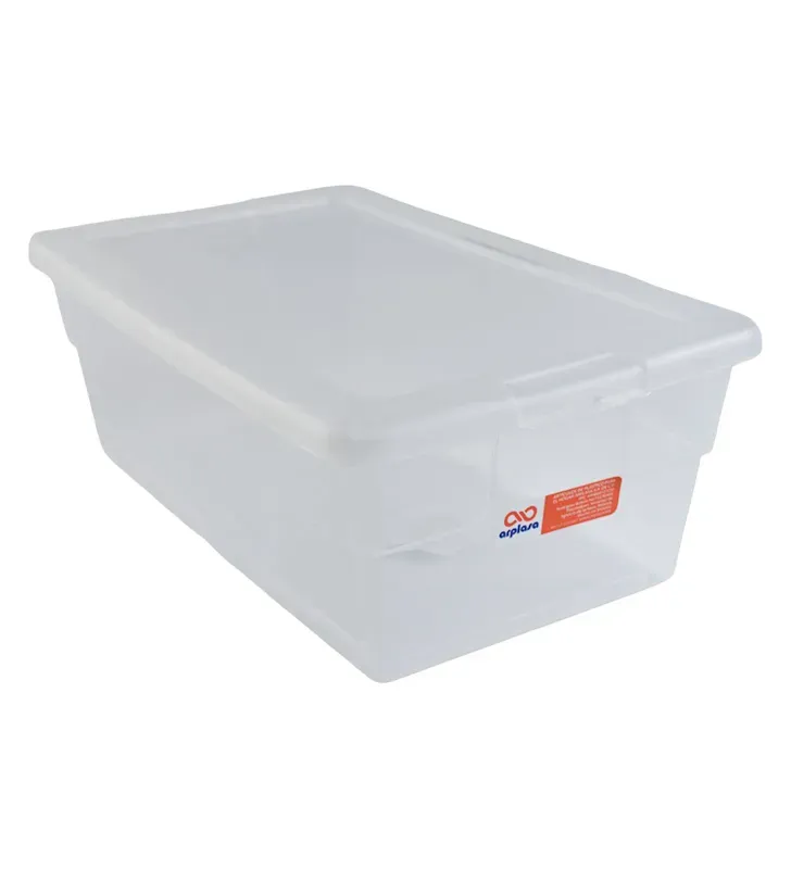 Caja Zapatera Chica Arplasa 1.3 L – Plástico Transparente