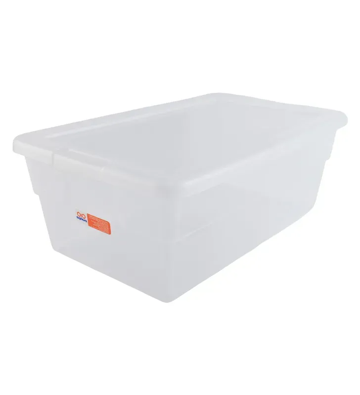 Caja Zapatera Grande Arplasa – 35 × 21 × 12 cm Plástico Transparente