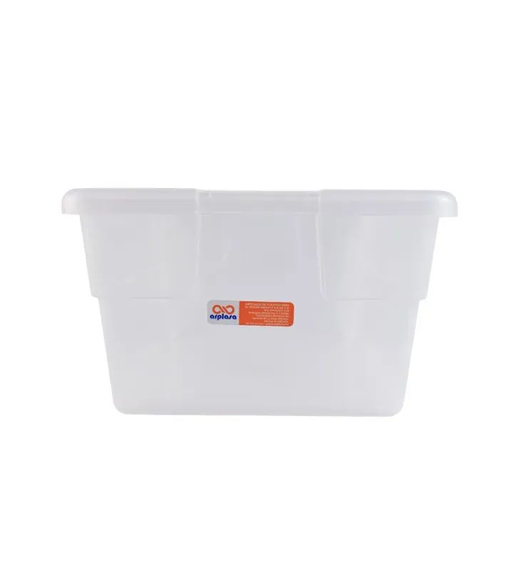 Caja Zapatera Grande Arplasa – 35 × 21 × 12 cm Plástico Transparente