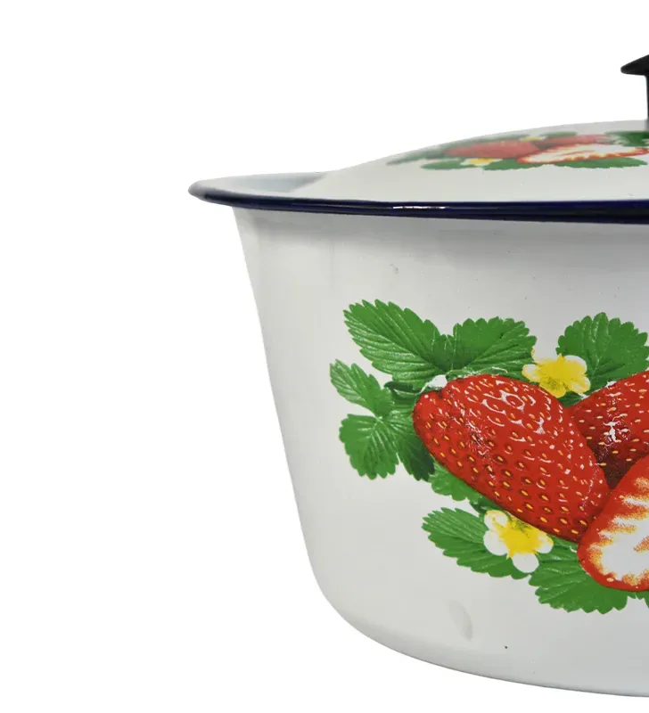Cacerola Decorada Acero Inoxidable Esmaltada con Tapa – Cuisine Spot