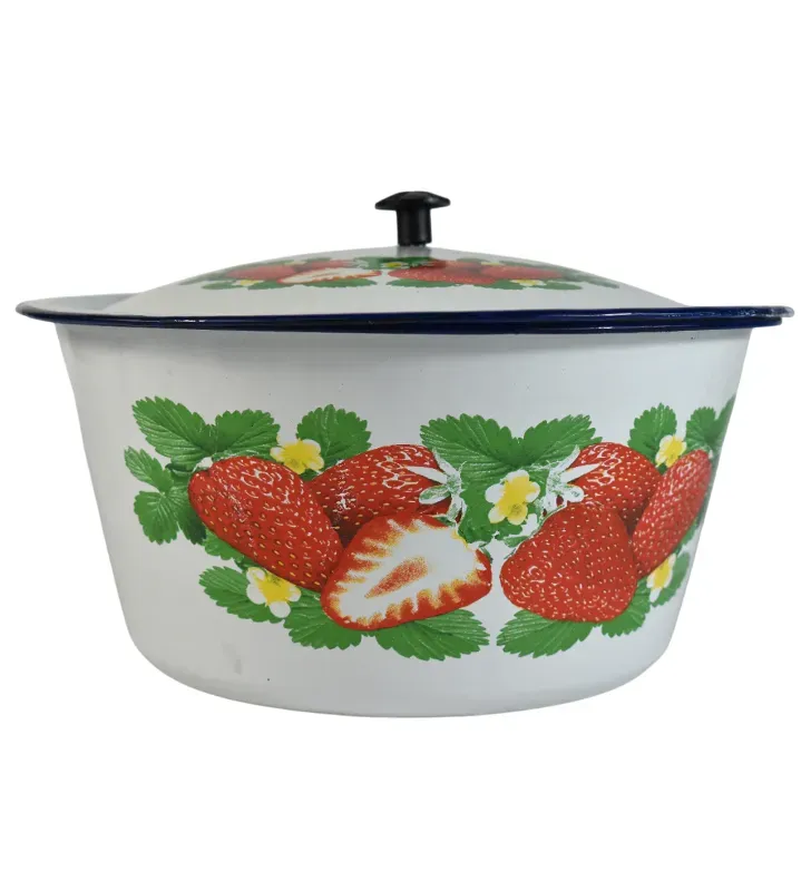 Cacerola Decorada Acero Inoxidable Esmaltada con Tapa – Cuisine Spot