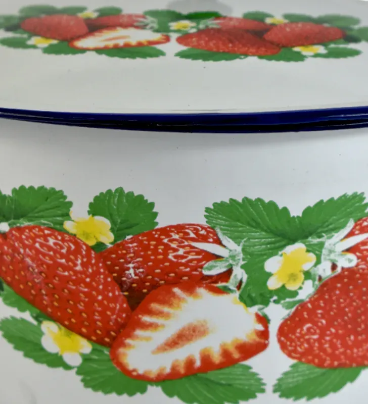 Cacerola Decorada Acero Inoxidable Esmaltada con Tapa – Cuisine Spot