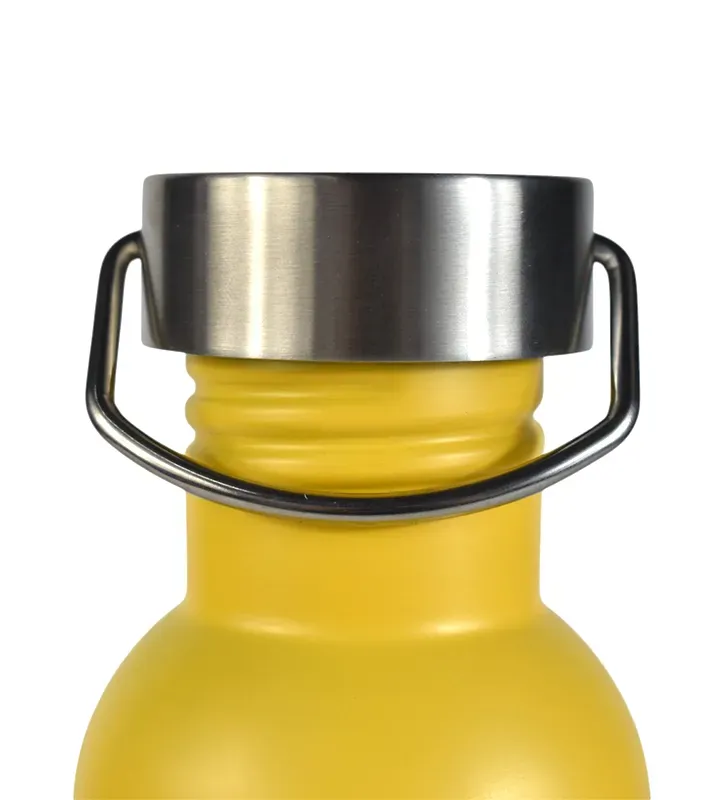 Botella de Agua Aluminio Metalizada con Tapa y Asa para Deportes