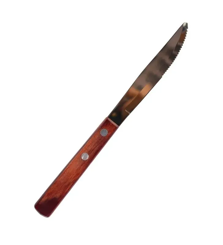 CUCHILLO DE MESA 4 LOLYWOOD-21101/474 -Tramontina