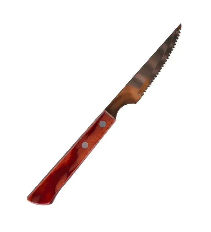 21109/074 CUCHILLO CHULETERO 4"