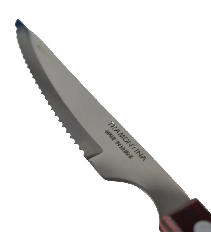 21109/074 CUCHILLO CHULETERO 4"