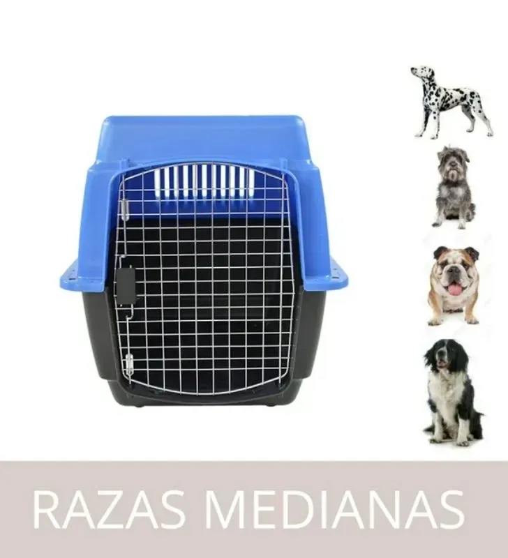 TRANSPORTADORA KENNEL MED. COLORES-DUNA