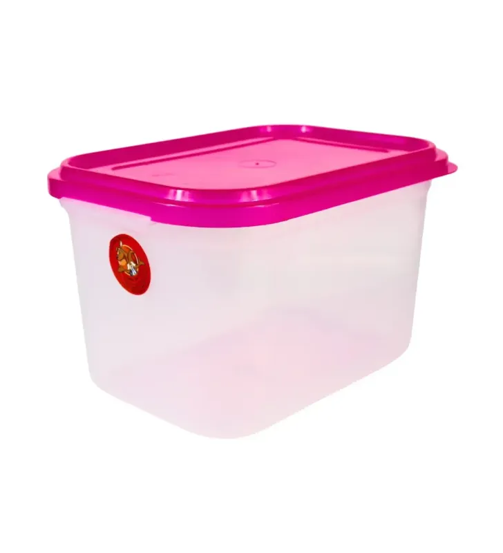 Caja Zeus 6.5 L D’Novo – Almacenamiento Transparente y Seguro