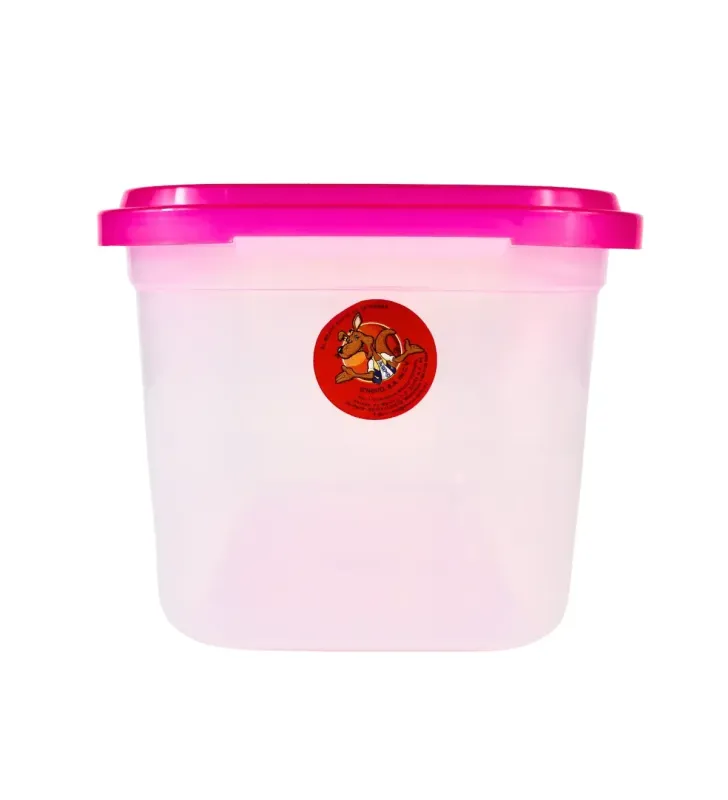 Caja Zeus 6.5 L D’Novo – Almacenamiento Transparente y Seguro